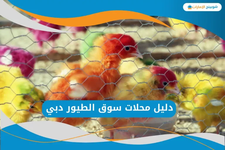 سوق الطيور دبي
