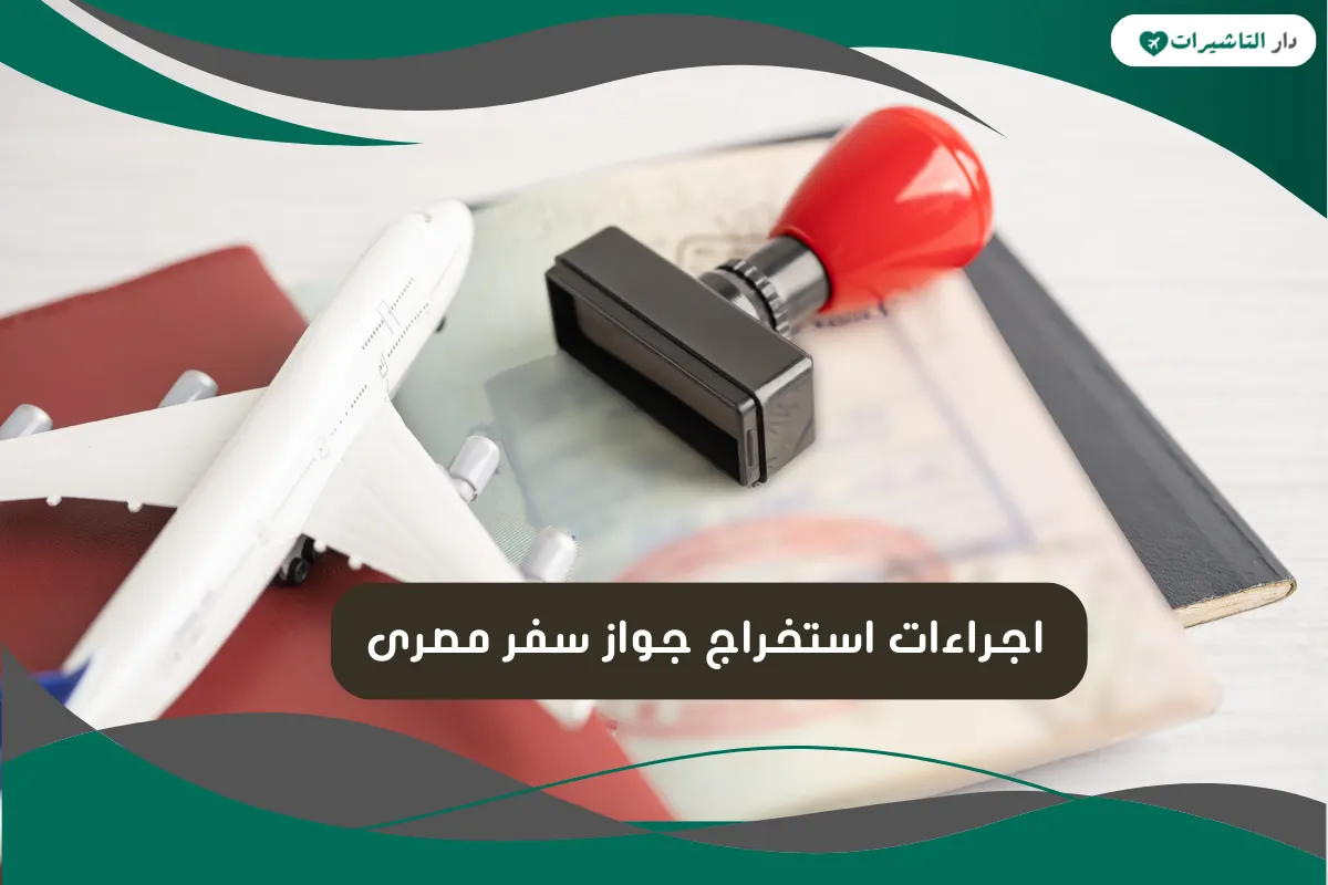 جواز سفر مصرى