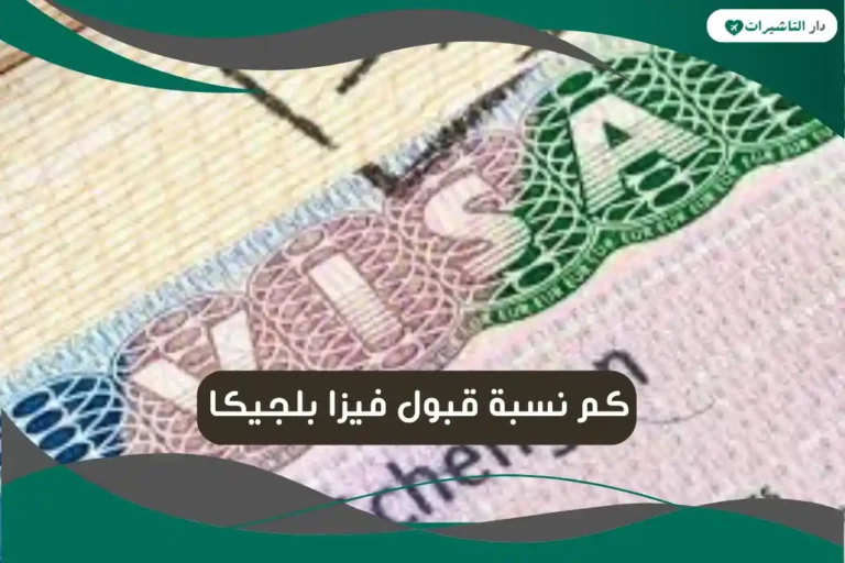 نسبة قبول فيزا بلجيكا