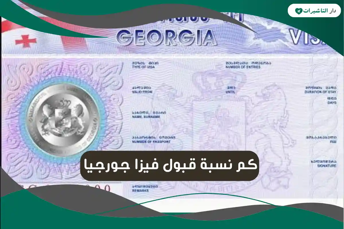 نسبة قبول فيزا جورجيا
