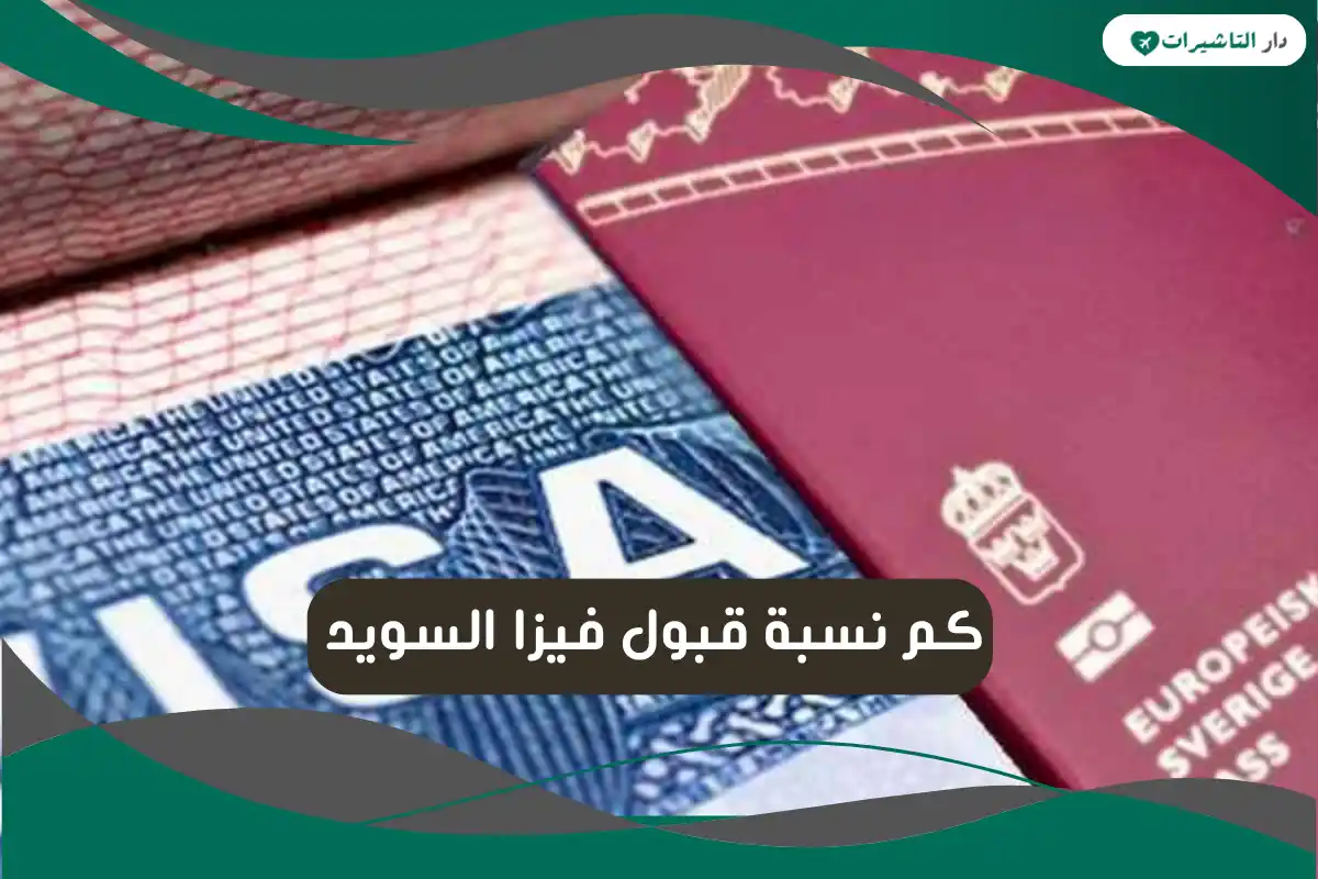 نسبة قبول فيزا السويد