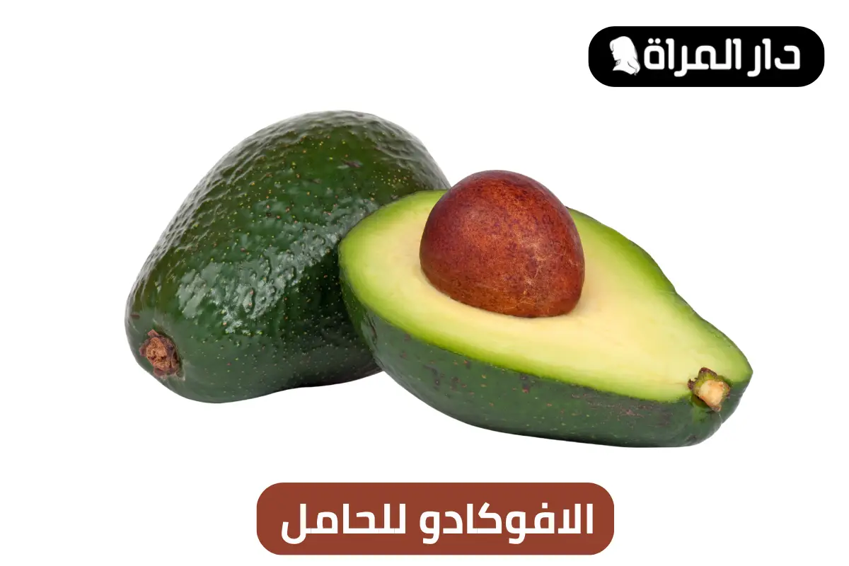الافوكادو للحامل