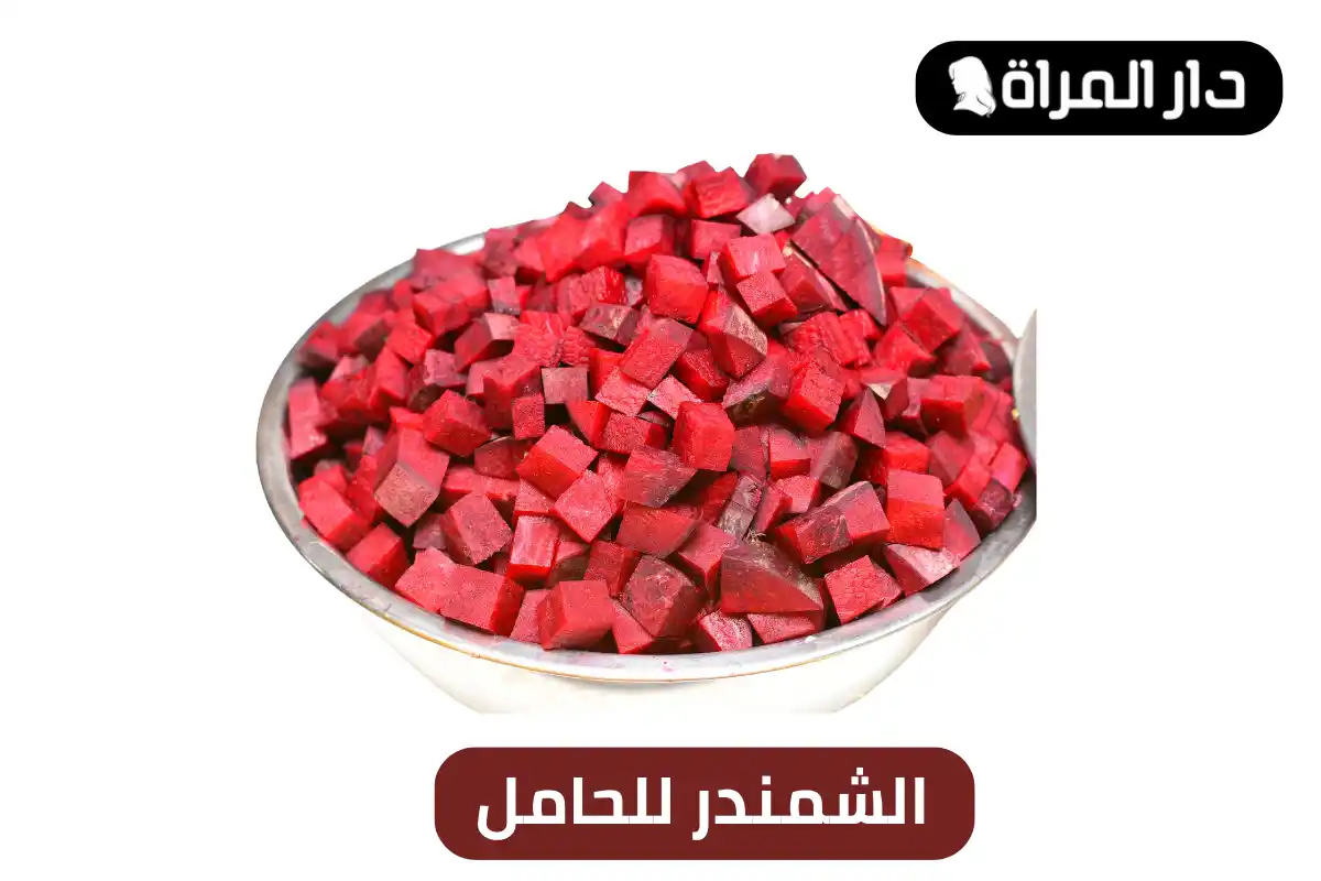 الشمندر للحامل
