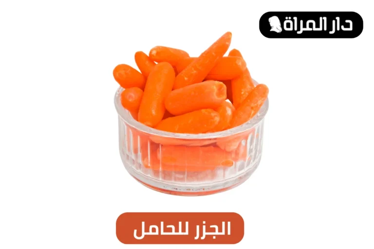 الجزر للحامل