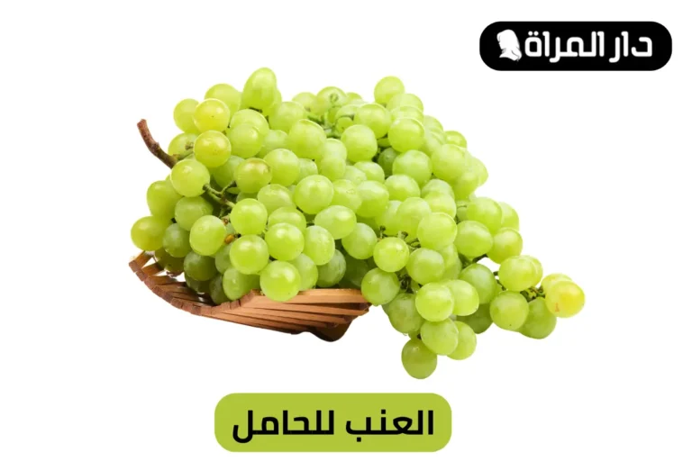 العنب للحامل