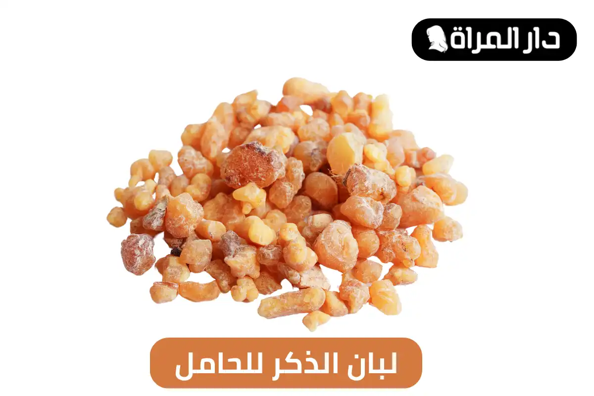 لبان الذكر للحامل