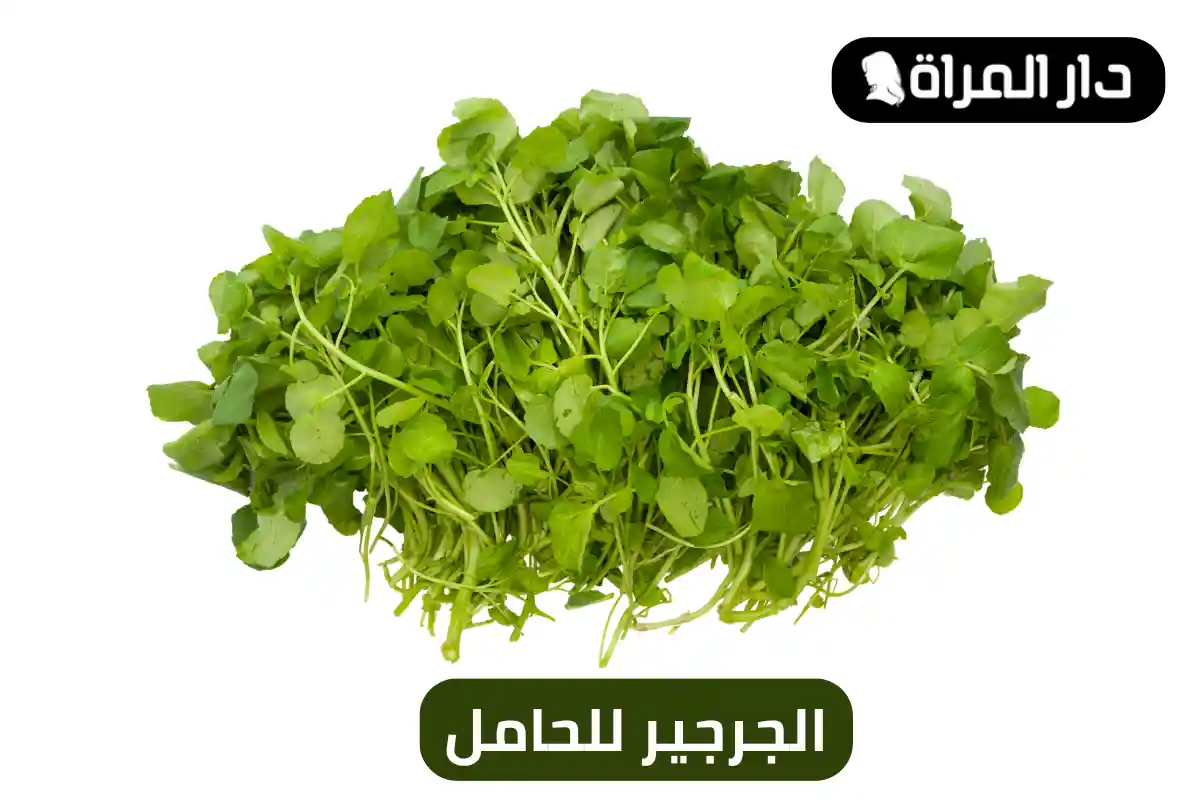 الجرجير للحامل